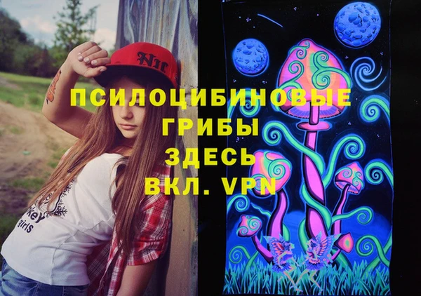Альфа ПВП Алексин
